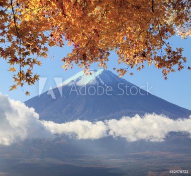 Picture of Mt Fuji with fall colors in Japan